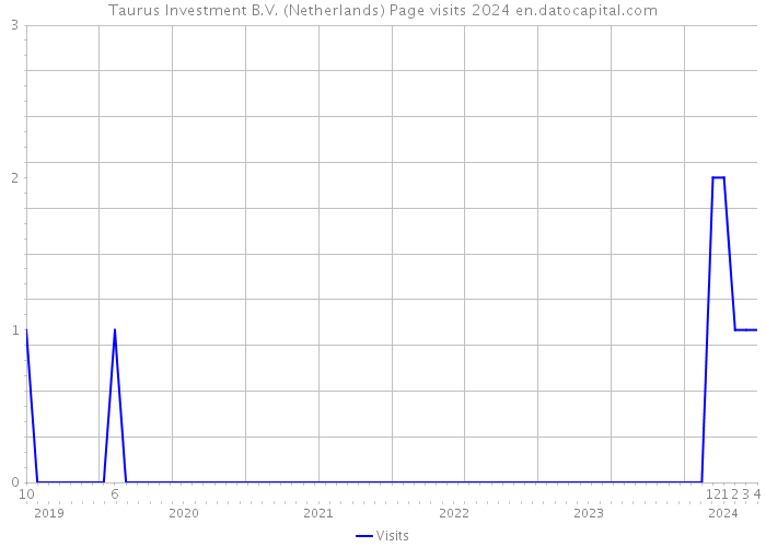 Taurus Investment B.V. (Netherlands) Page visits 2024 