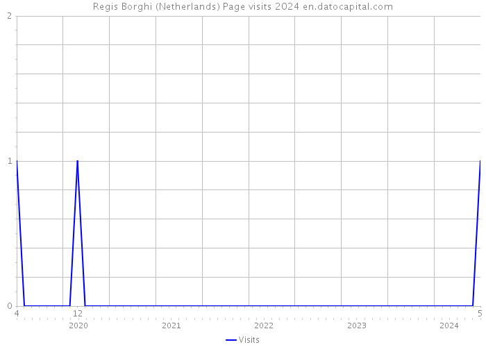 Regis Borghi (Netherlands) Page visits 2024 