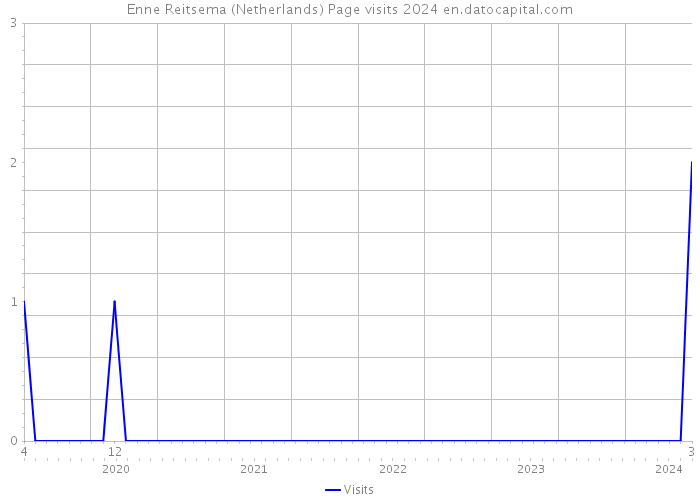 Enne Reitsema (Netherlands) Page visits 2024 