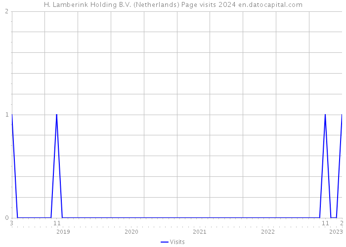 H. Lamberink Holding B.V. (Netherlands) Page visits 2024 