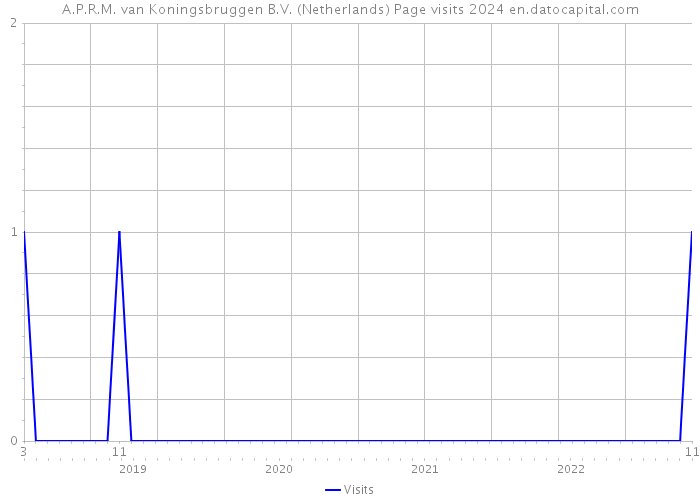 A.P.R.M. van Koningsbruggen B.V. (Netherlands) Page visits 2024 
