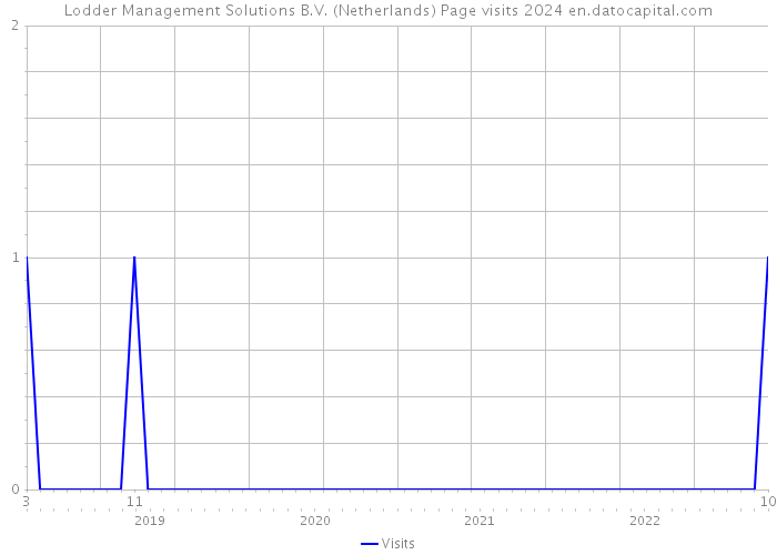 Lodder Management Solutions B.V. (Netherlands) Page visits 2024 