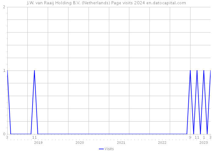 J.W. van Raaij Holding B.V. (Netherlands) Page visits 2024 