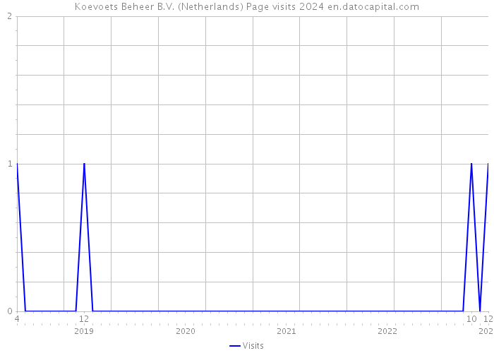Koevoets Beheer B.V. (Netherlands) Page visits 2024 