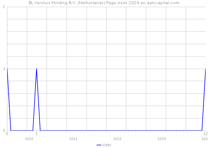 BL Versluis Holding B.V. (Netherlands) Page visits 2024 