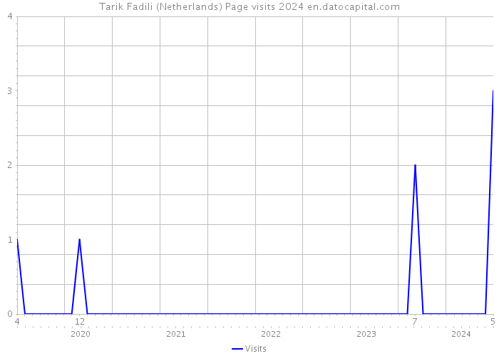 Tarik Fadili (Netherlands) Page visits 2024 