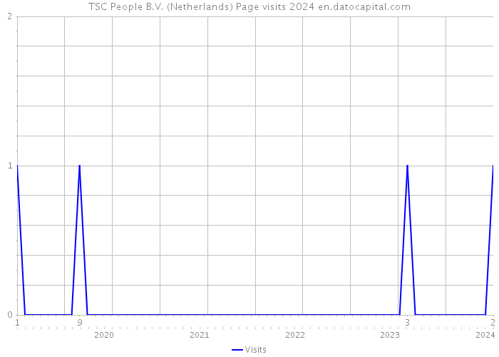 TSC People B.V. (Netherlands) Page visits 2024 