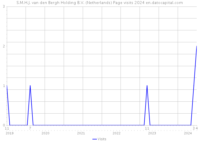 S.M.H.J. van den Bergh Holding B.V. (Netherlands) Page visits 2024 