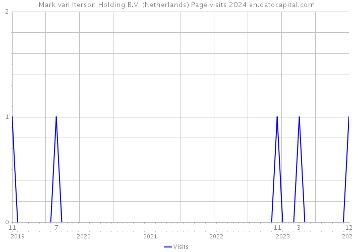 Mark van Iterson Holding B.V. (Netherlands) Page visits 2024 