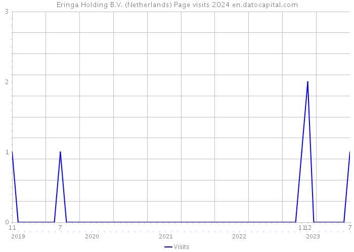 Eringa Holding B.V. (Netherlands) Page visits 2024 