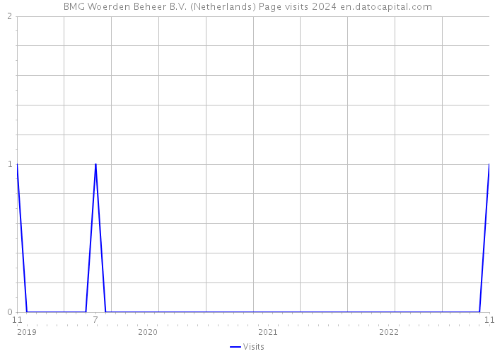 BMG Woerden Beheer B.V. (Netherlands) Page visits 2024 