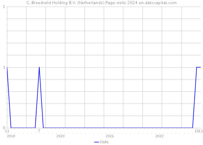 C. Breedveld Holding B.V. (Netherlands) Page visits 2024 