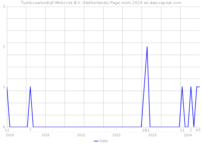Tuinbouwbedrijf Wisbroek B.V. (Netherlands) Page visits 2024 