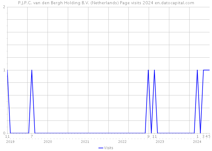 P.J.P.C. van den Bergh Holding B.V. (Netherlands) Page visits 2024 