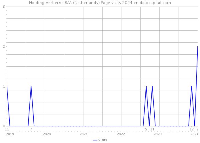 Holding Verberne B.V. (Netherlands) Page visits 2024 
