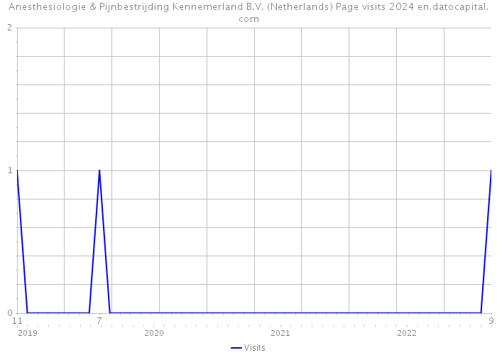 Anesthesiologie & Pijnbestrijding Kennemerland B.V. (Netherlands) Page visits 2024 