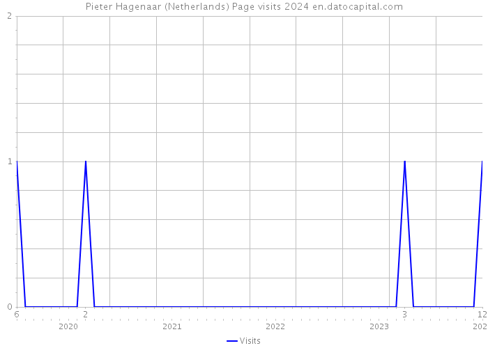 Pieter Hagenaar (Netherlands) Page visits 2024 