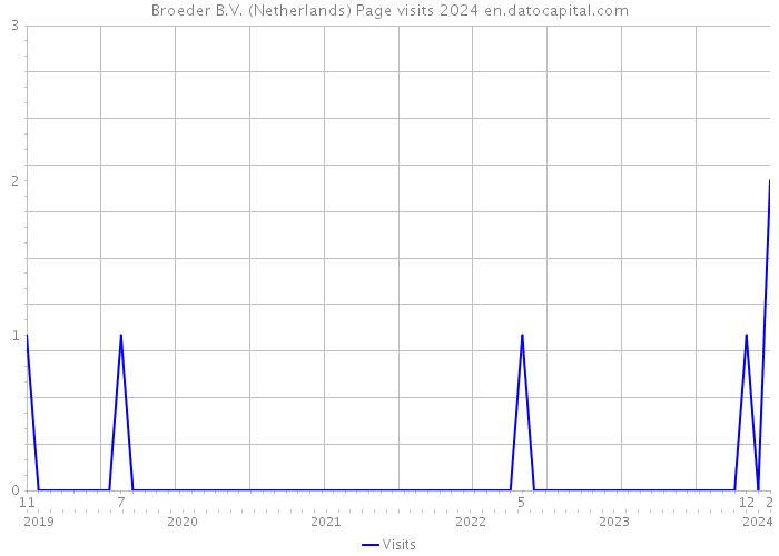 Broeder B.V. (Netherlands) Page visits 2024 