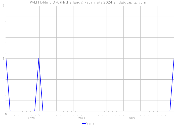 PVEI Holding B.V. (Netherlands) Page visits 2024 