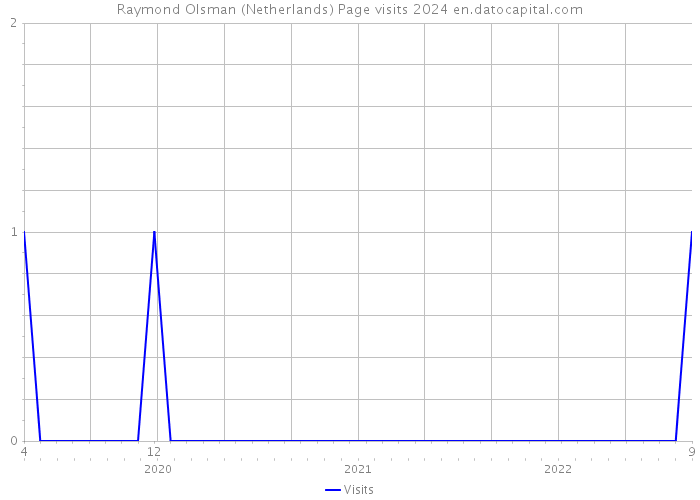 Raymond Olsman (Netherlands) Page visits 2024 
