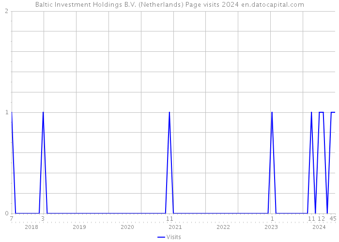 Baltic Investment Holdings B.V. (Netherlands) Page visits 2024 