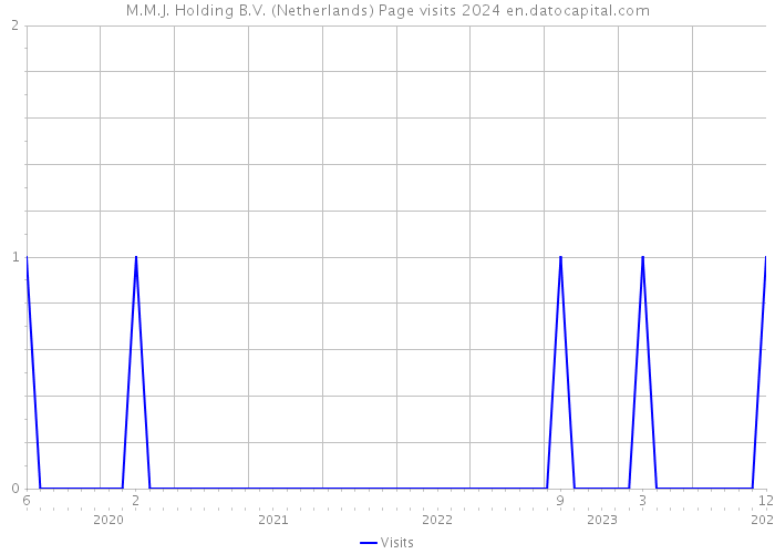 M.M.J. Holding B.V. (Netherlands) Page visits 2024 