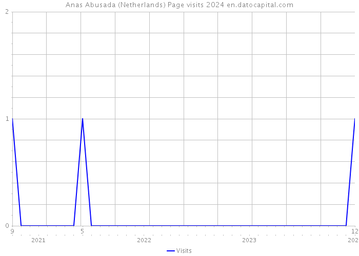 Anas Abusada (Netherlands) Page visits 2024 