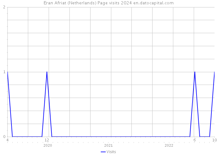 Eran Afriat (Netherlands) Page visits 2024 