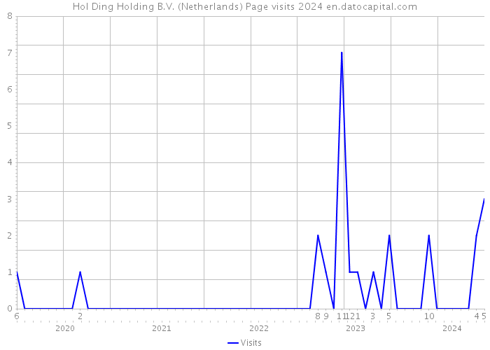 Hol Ding Holding B.V. (Netherlands) Page visits 2024 