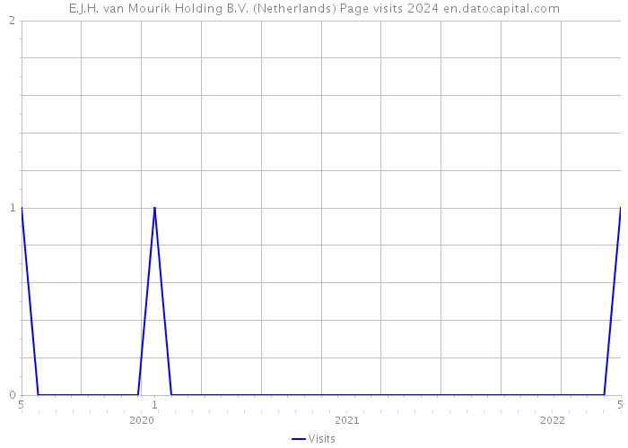 E.J.H. van Mourik Holding B.V. (Netherlands) Page visits 2024 