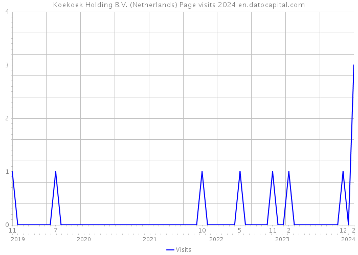 Koekoek Holding B.V. (Netherlands) Page visits 2024 