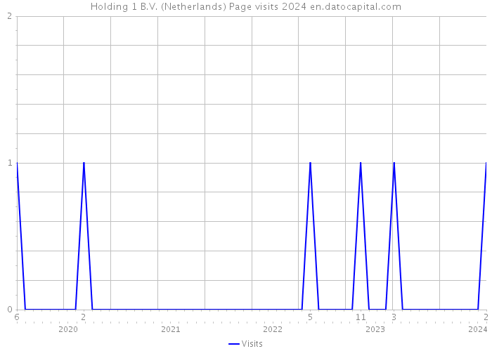 Holding 1 B.V. (Netherlands) Page visits 2024 