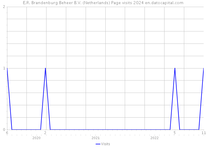 E.R. Brandenburg Beheer B.V. (Netherlands) Page visits 2024 