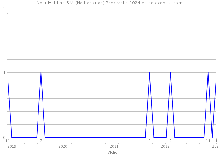 Noer Holding B.V. (Netherlands) Page visits 2024 