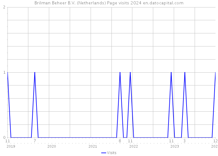 Brilman Beheer B.V. (Netherlands) Page visits 2024 