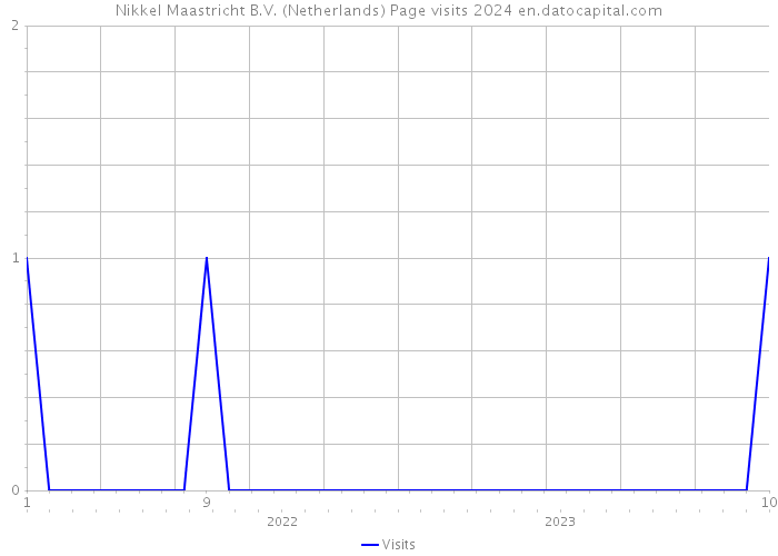 Nikkel Maastricht B.V. (Netherlands) Page visits 2024 