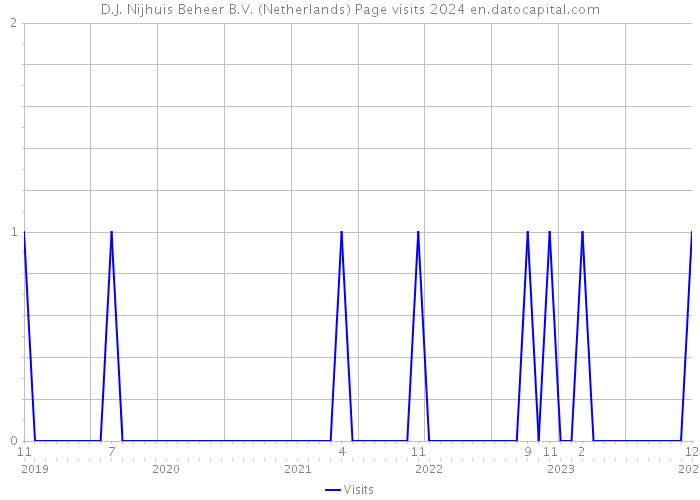 D.J. Nijhuis Beheer B.V. (Netherlands) Page visits 2024 