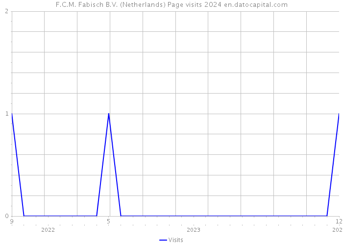 F.C.M. Fabisch B.V. (Netherlands) Page visits 2024 