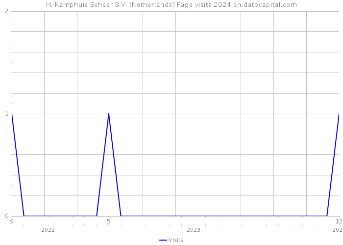 H. Kamphuis Beheer B.V. (Netherlands) Page visits 2024 
