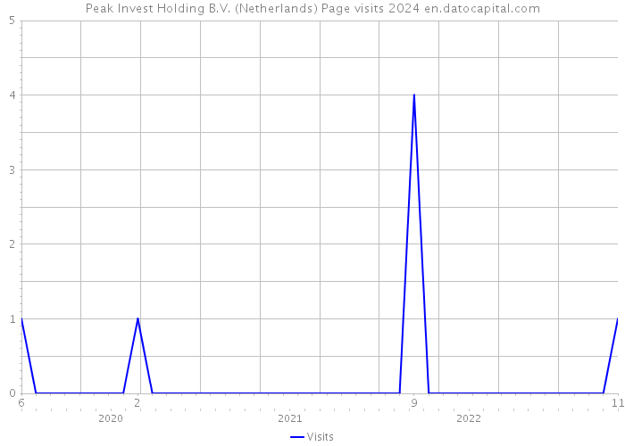 Peak Invest Holding B.V. (Netherlands) Page visits 2024 