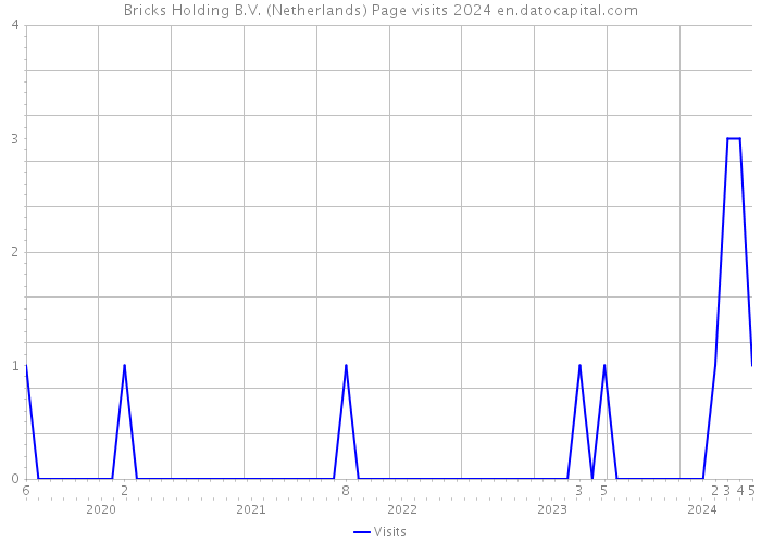 Bricks Holding B.V. (Netherlands) Page visits 2024 