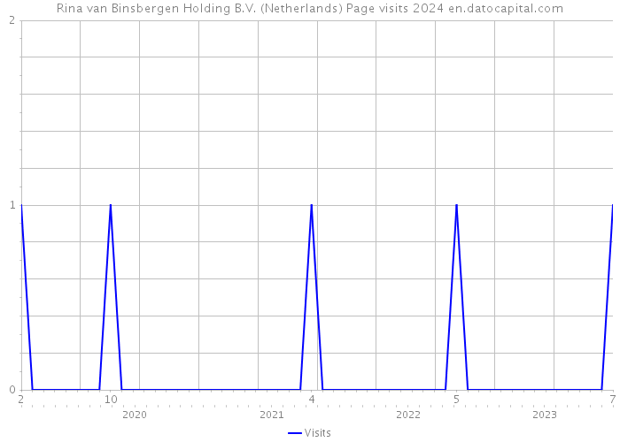 Rina van Binsbergen Holding B.V. (Netherlands) Page visits 2024 