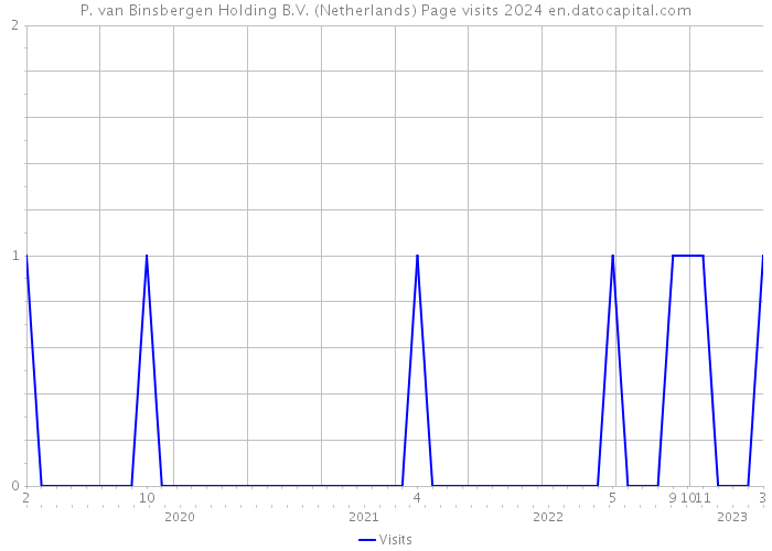 P. van Binsbergen Holding B.V. (Netherlands) Page visits 2024 