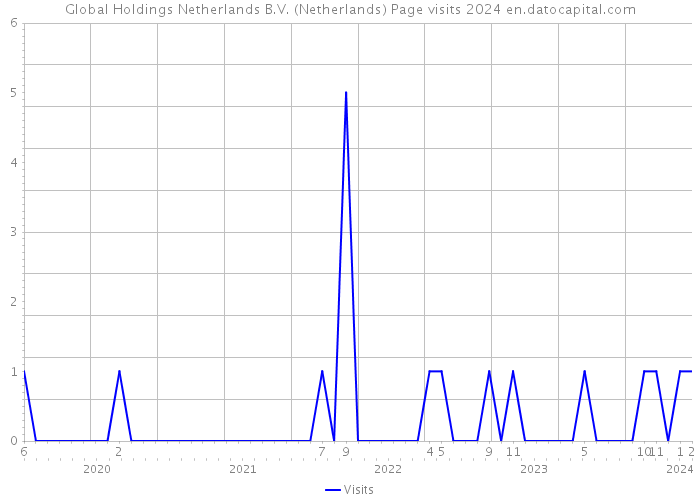 Global Holdings Netherlands B.V. (Netherlands) Page visits 2024 