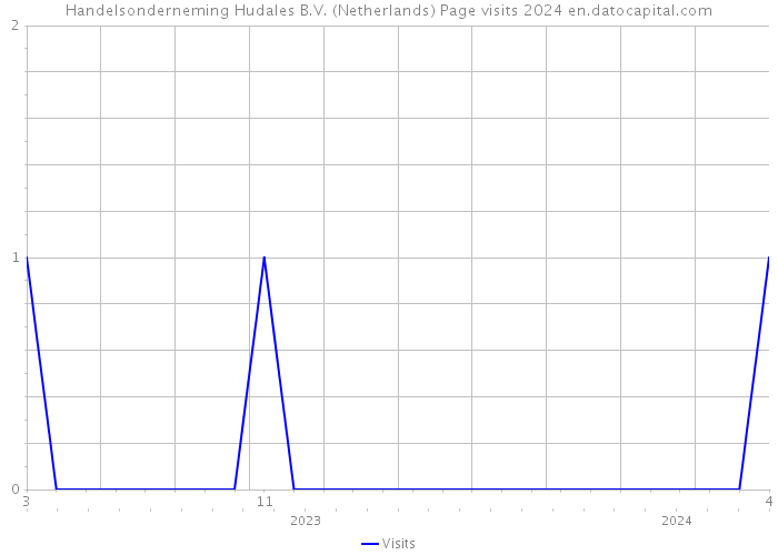 Handelsonderneming Hudales B.V. (Netherlands) Page visits 2024 