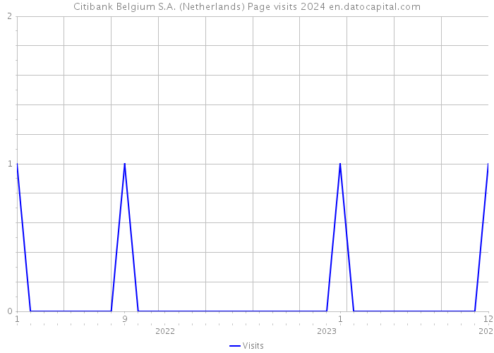 Citibank Belgium S.A. (Netherlands) Page visits 2024 
