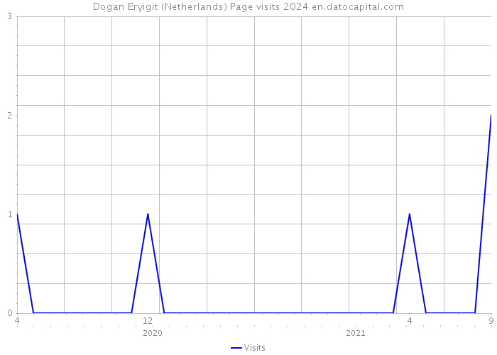 Dogan Eryigit (Netherlands) Page visits 2024 