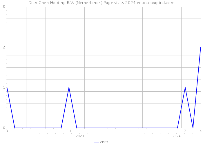 Dian Chen Holding B.V. (Netherlands) Page visits 2024 