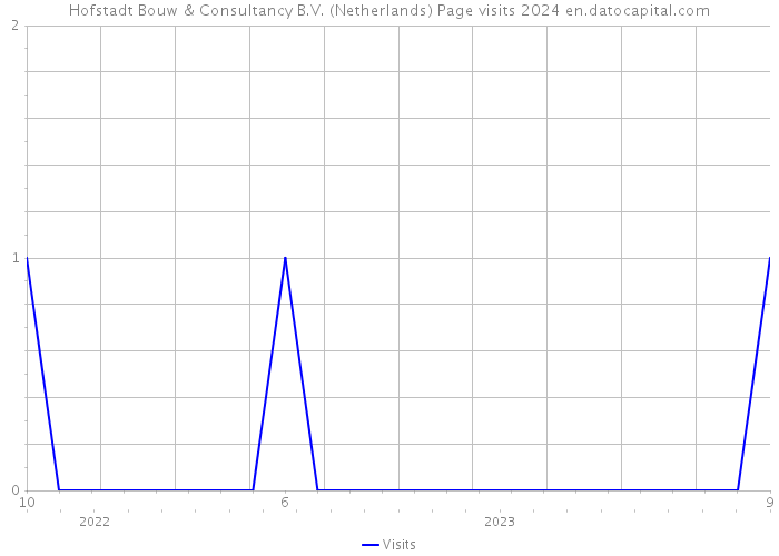 Hofstadt Bouw & Consultancy B.V. (Netherlands) Page visits 2024 