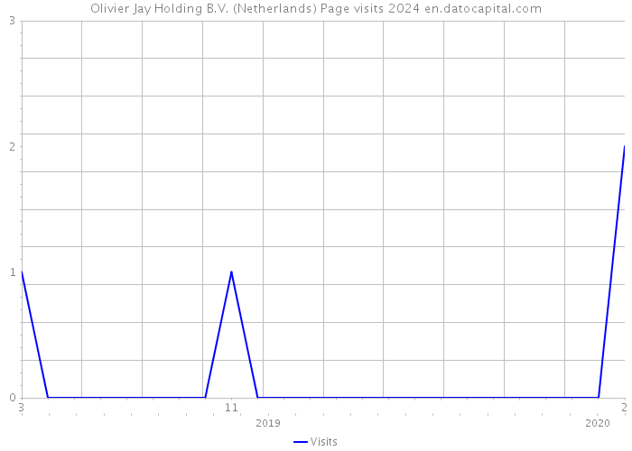 Olivier Jay Holding B.V. (Netherlands) Page visits 2024 
